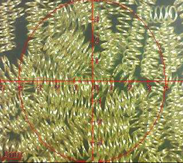 Relatório de teste do pino Pogo do produto de galvanização ROHS