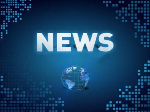 A composição e função do pino pogo